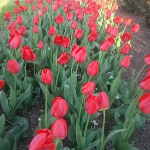 Meet your Posher, Aminul